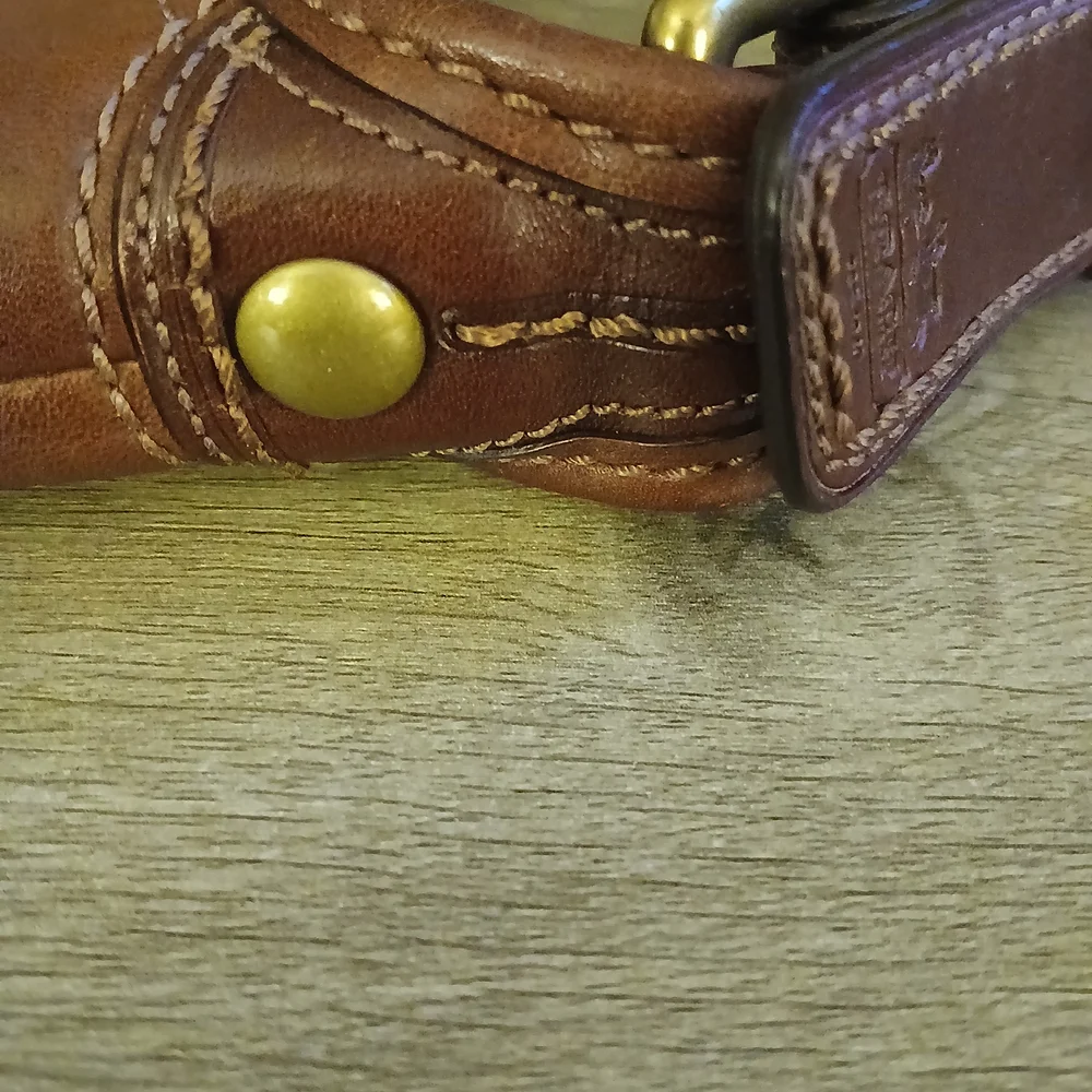 Coach stylish brown